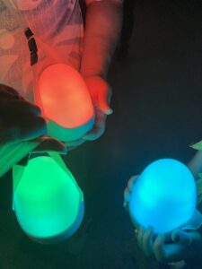 egg